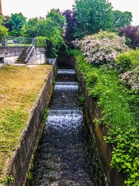 Footpath by canal in park