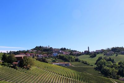Panoramic shot of buildings and vineyard against clear blue sky