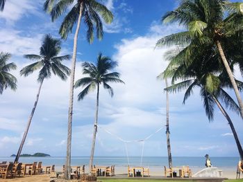 Palm trees on beach against sky