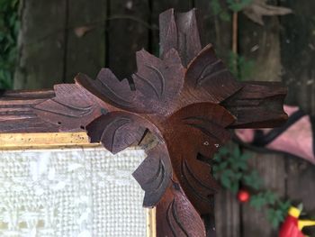 Close-up of leaves on wood during autumn