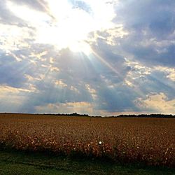 Scenic view of field against cloudy sky