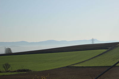 Scenic view of field against clear sky