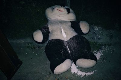 Low section of person wearing shoes