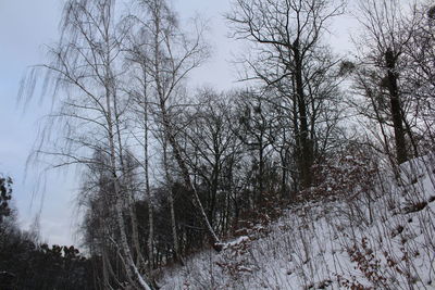 Low angle view of bare trees against clear sky