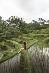 Rear view of woman standing on rice field against sky