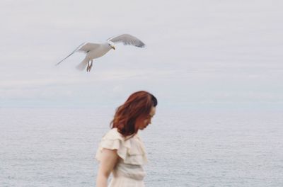 Seagull flying over woman at beach