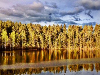 Scenic view of lake in forest against sky