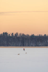 A man ice skating at sunrise.