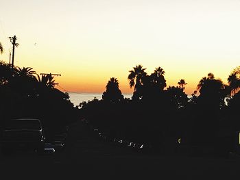 Palm trees at sunset