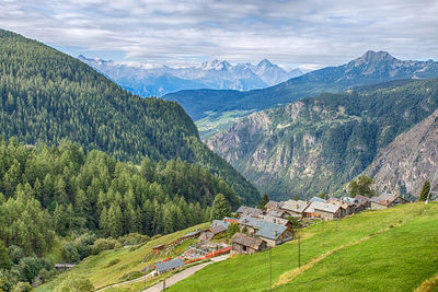 Scenic view of trees and houses against sky