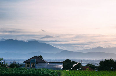 Houses on field against sky