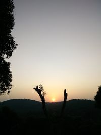 Silhouette trees and plants against sky during sunset