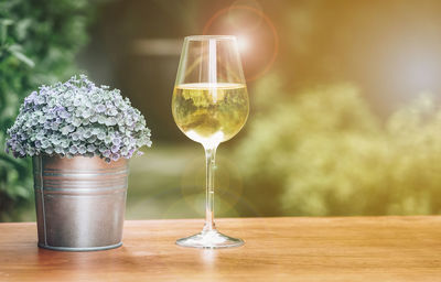 Close-up of white wine in wineglass by houseplant on table