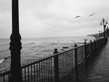 Seagull flying over sea against sky