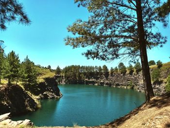 Scenic view of river in forest against clear blue sky