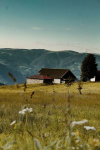 House on field against sky