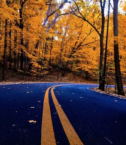 Road amidst trees in forest during autumn