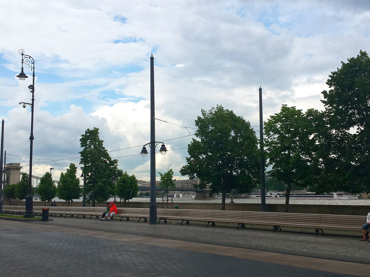 Trees along the road