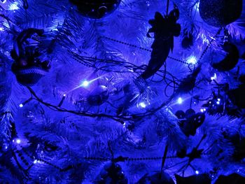 Close-up of illuminated birds in the sea