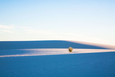 Scenic view of desert against sky