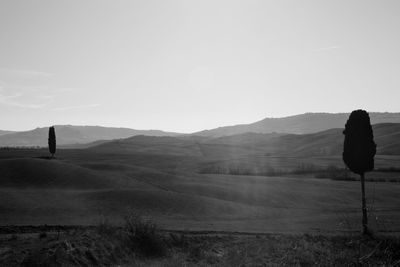 Rear view of man on field against clear sky