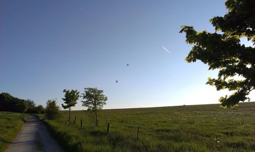 Scenic view of field against clear blue sky