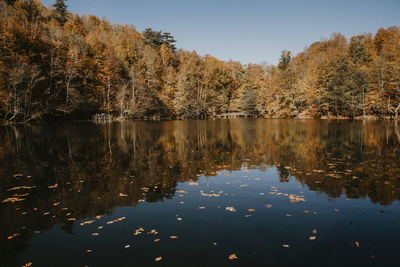 Reflection of trees in lake against sky