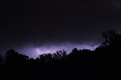Low angle view of silhouette trees against sky at night