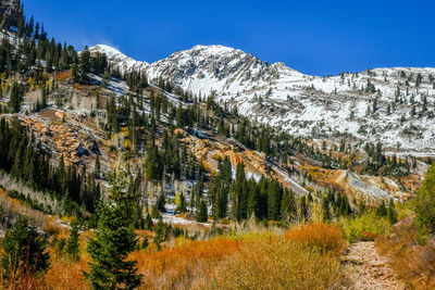 Mary ellen gulch from north fork of american fork canyon