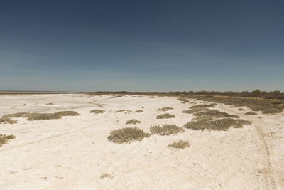 Scenic view of beach against clear sky