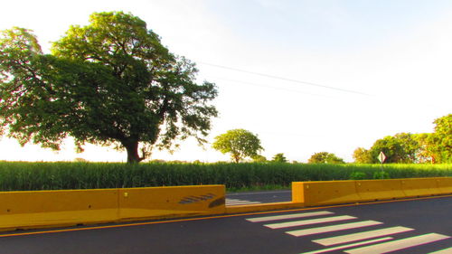 Empty road against clear sky