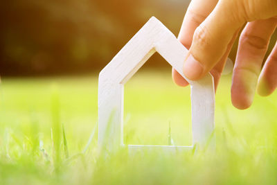 Close-up of hand on grass