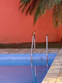 Swimming pool against blue sky