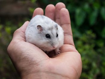 Close-up of hand holding baby