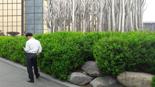 Rear view of man standing by plants