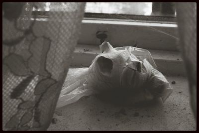 Close-up of built structure