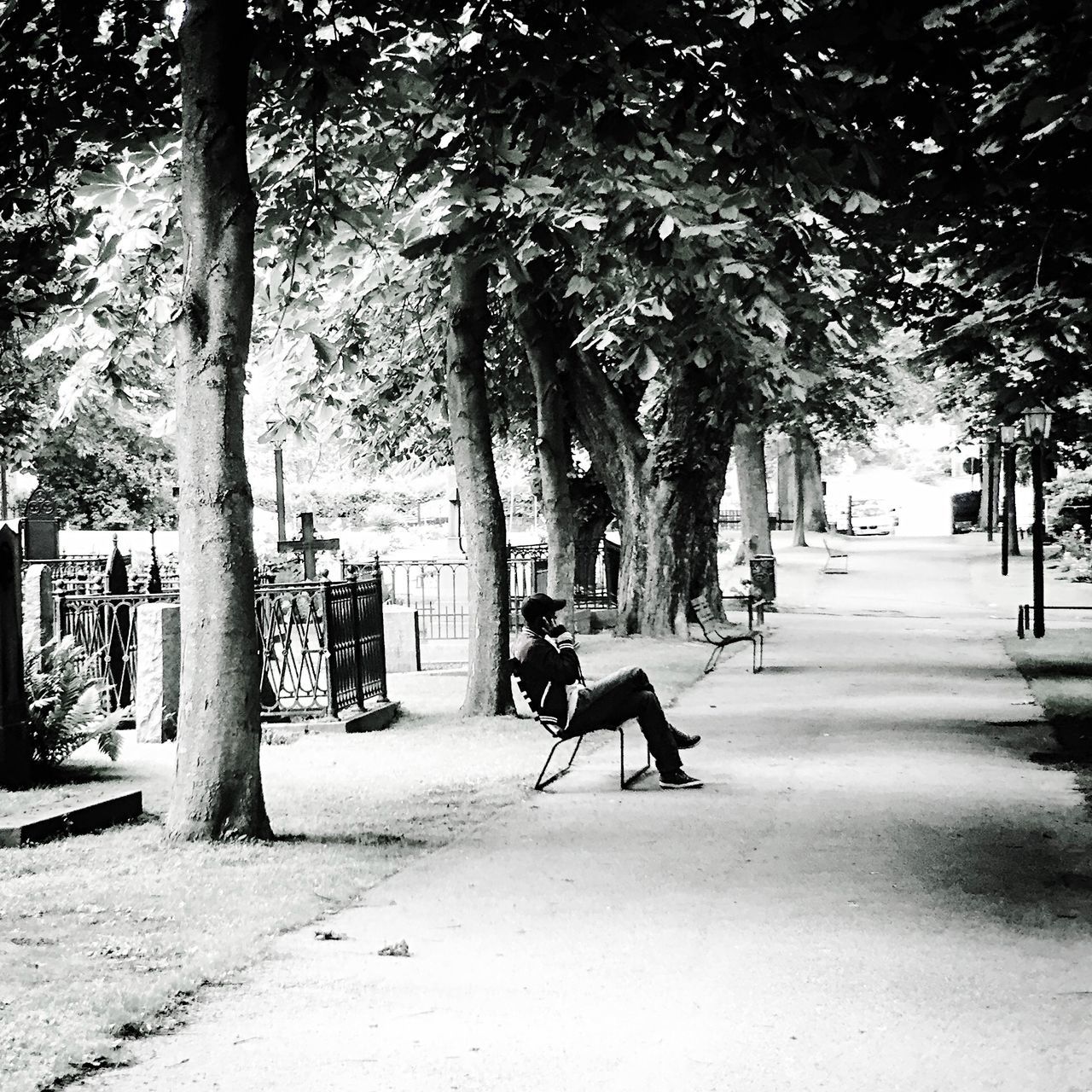 tree, park - man made space, tree trunk, bench, men, full length, lifestyles, leisure activity, sunlight, shadow, the way forward, person, day, rear view, park, footpath, outdoors, incidental people, treelined