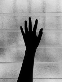 Close-up of silhouette hand against wall