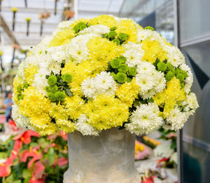 Close-up of yellow flower pot