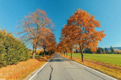 Road amidst trees against sky during autumn