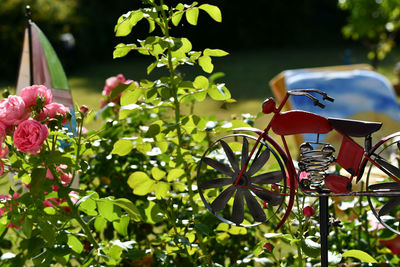 Close-up of flowering plants by bicycle