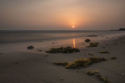 Scenic view of beach against sky during sunset