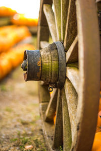 Close-up of rusty chain on field