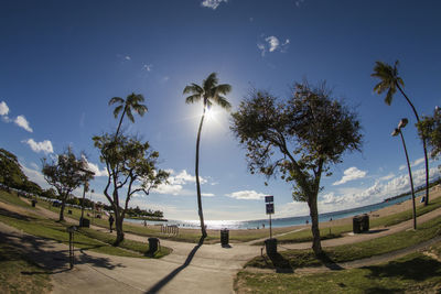 Scenic view of palm trees on field against sky