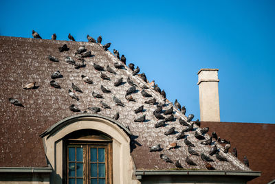 Low angle view of building on roof against clear sky