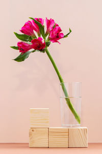 Close-up of pink flower vase on table against wall