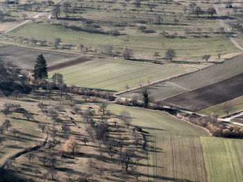 High angle view of agricultural field