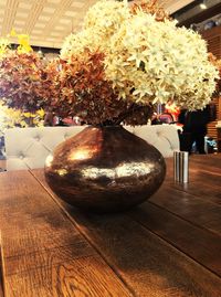 Close-up of potted plant on table