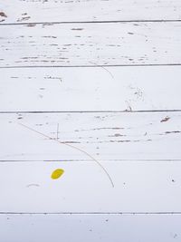 High angle view of yellow ball on table