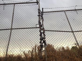 chainlink fence